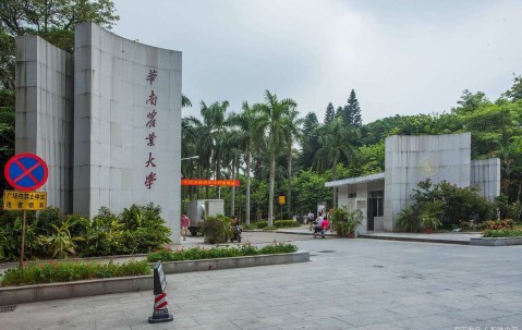 广西大学官网